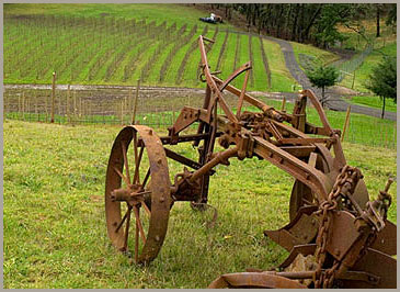 Oregon Vineyard and Winery - Aramenta Cellars