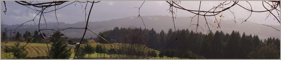 Aramenta Cellars Oregon Vineyard and Winery