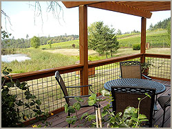 Vineyard View